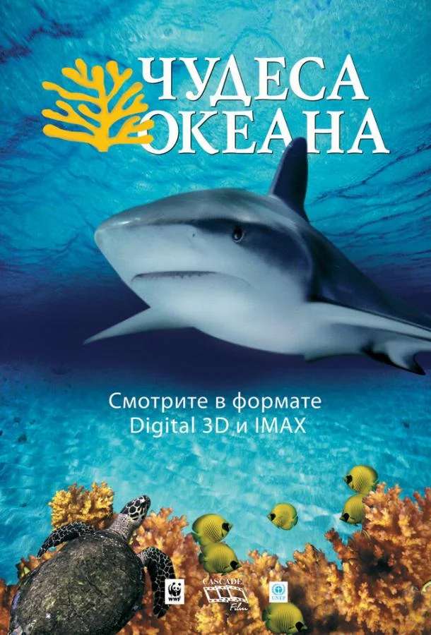 Постер к Чудеса океана 3D (2003)