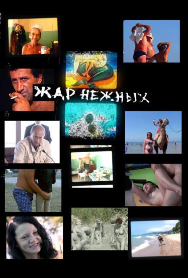 Постер к Дикий, дикий пляж. Жар нежных (2005)