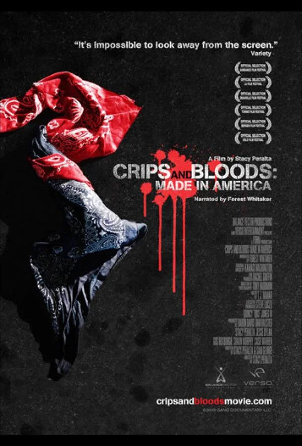 Постер к Сделано в Америке (2008)