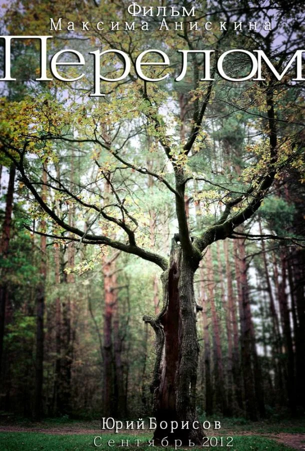 Постер к Перелом (2012)