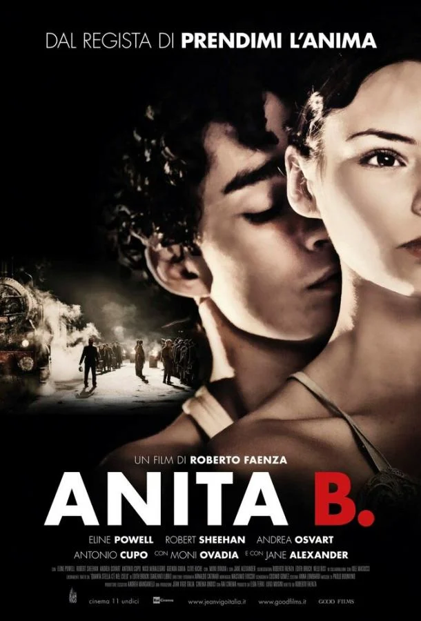 Постер к Анита Б. (2014)