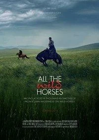 Постер к Дикие лошади (2017)